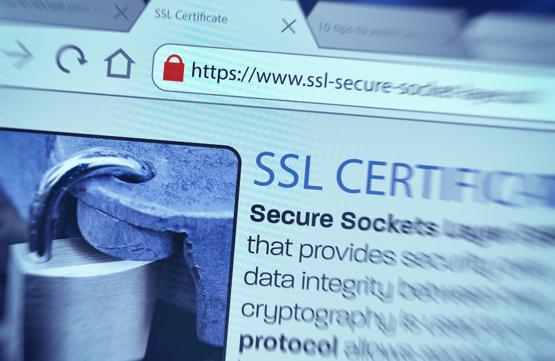 SSL Certificate Concept